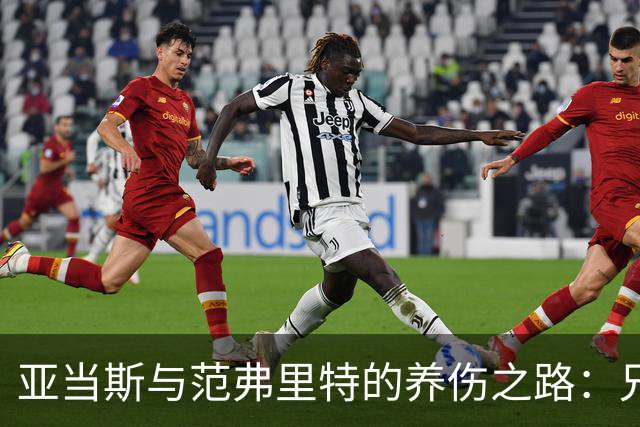 亚当斯与范弗里特的养伤之路：兄弟间的“搞笑语言