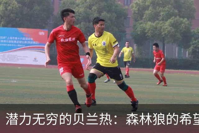 潜力无穷的贝兰热：森林狼的希望之星